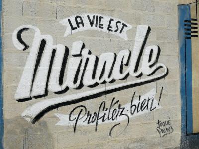 La vie est miracle, profitez bien !