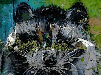 Bordalo II